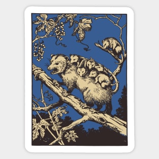 Opposum vintage engraving Sticker